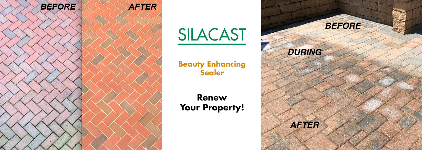 Silacast - beauty enhancing sealer.